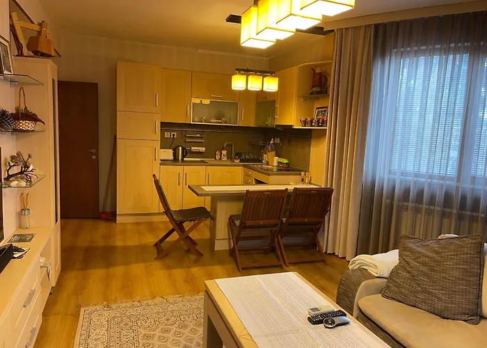 Nikol 3 Club Bor Daire